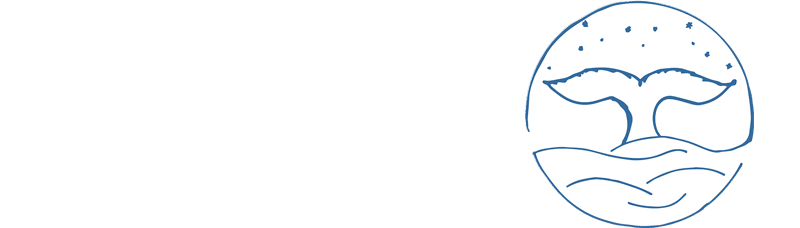 Webdesign by Bereishit.